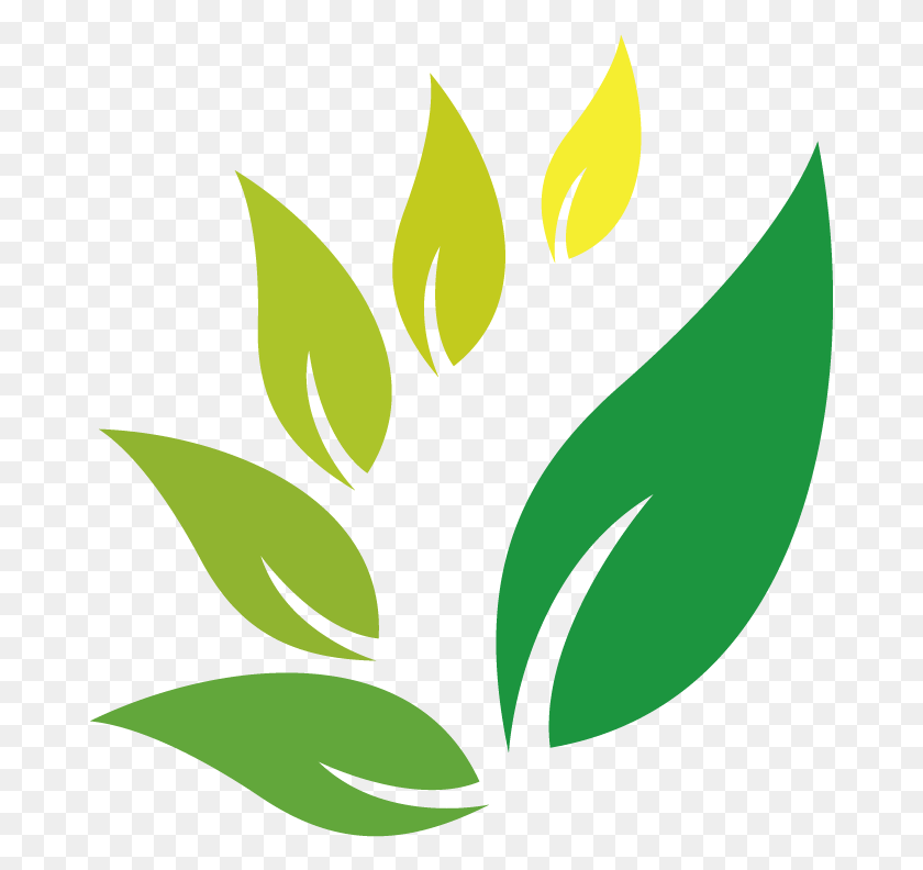 677x732 Descargar Png Jamu Hierba India Azufaifo Herbal Logo Clipart Logo Herbal, Hoja, Planta, Gráficos Hd Png