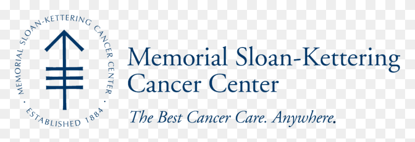 1100x321 Descargar Png / Logotipo Del Centro Oncológico Memorial Sloan Kettering De Enero De 2019, Texto, Alfabeto, Word Hd Png