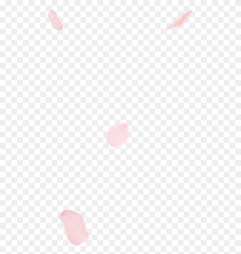 511x828 Japanese Cherry Blossom Illustration, Path, Plant, Linen HD PNG Download