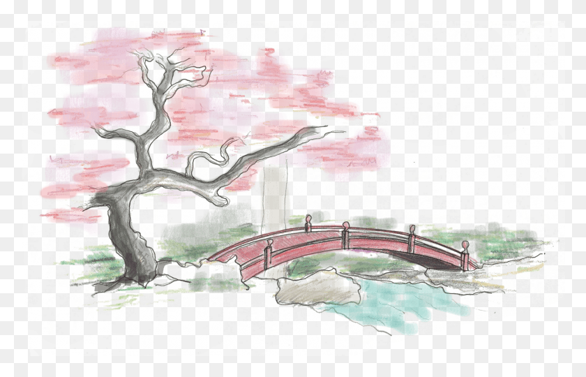 1400x863 Japanese Maple Bridge Crossing On Meditation Walk, Person HD PNG Download
