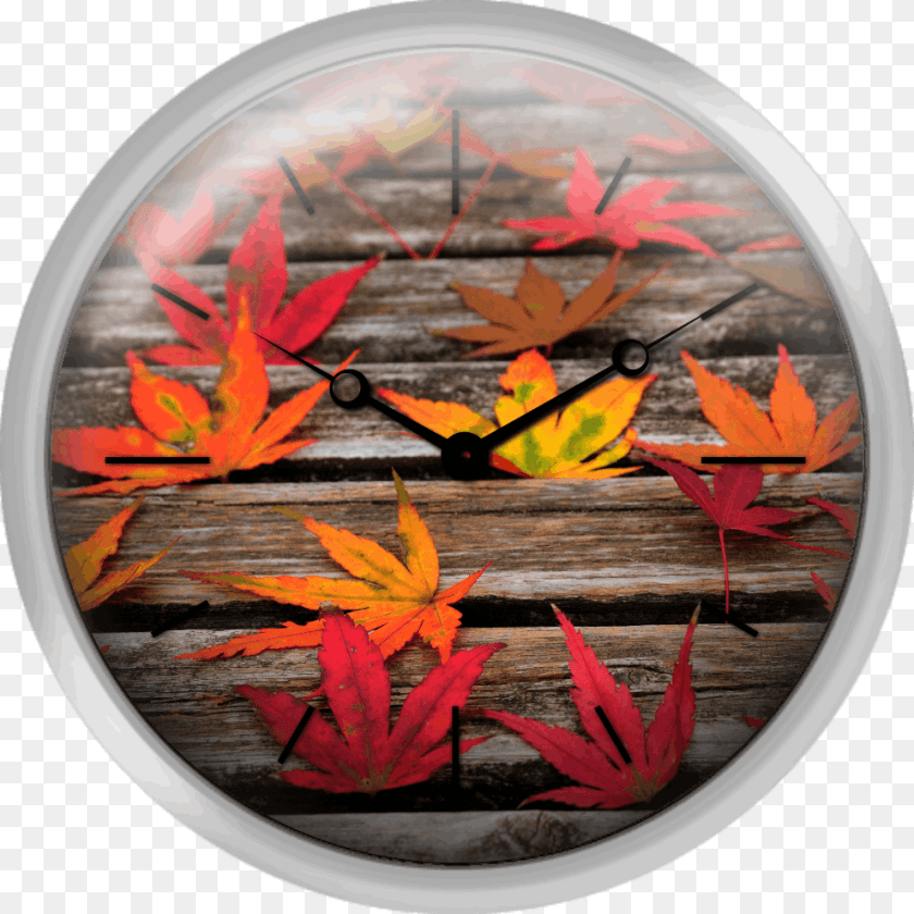Japanese Maple Leaves Wall Clock, Leaf, Plant, Tree, Photography Clipart PNG