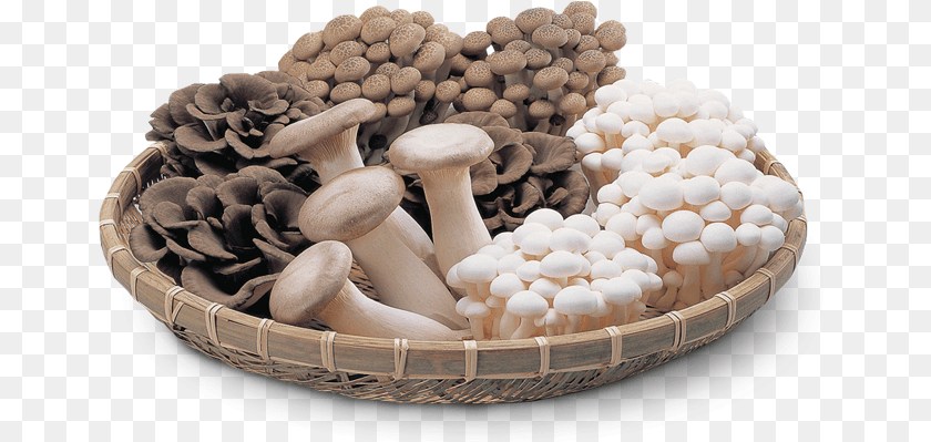 665x399 Japanese Mushrooms Vegetables Mushrooms, Fungus, Plant, Basket, Mushroom PNG