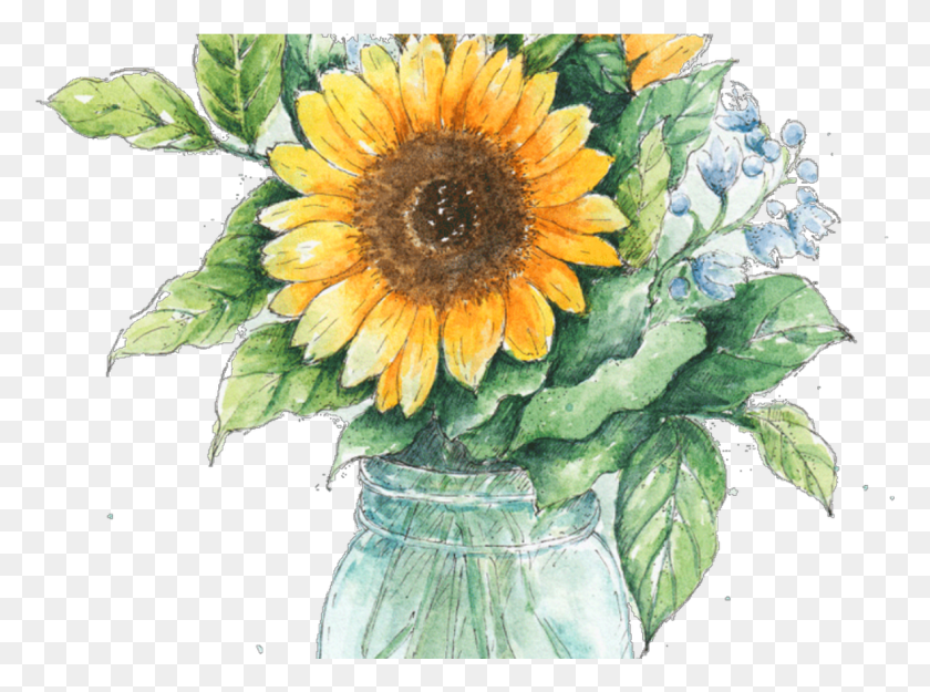 1181x856 Горшок Рисунок Убисафе, Растение, Цветок, Цветение Hd Png Скачать