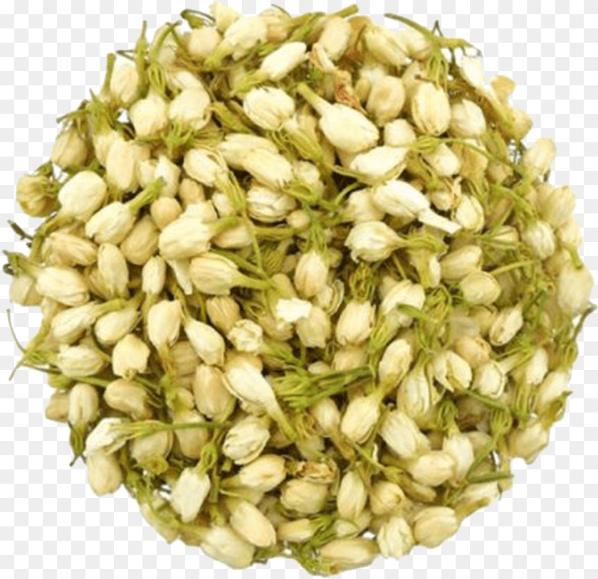 Jasmine Flower Tea Jasmine, Bud, Plant, Sprout, Food Sticker PNG