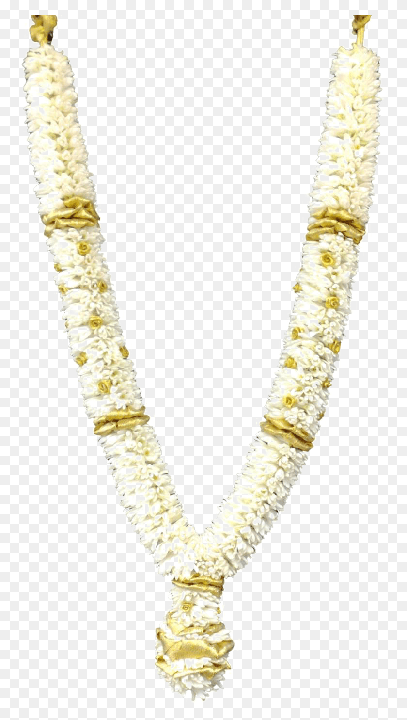 761x1425 Jasmine Garland Photo Necklace, Plant, Flower, Blossom HD PNG Download