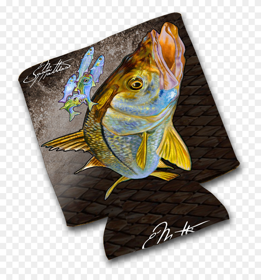 757x839 Descargar Png Jason Mathias Art Koozies Amp Coolie Cups Bass, Pez, Animal, Angelfish Hd Png