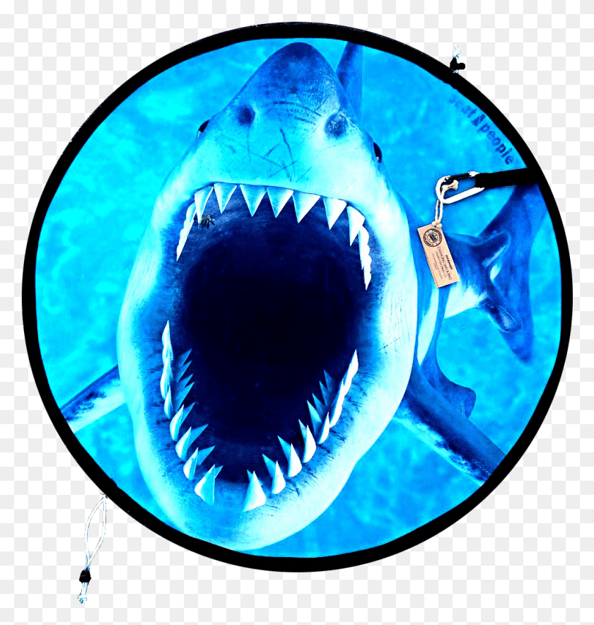 980x1036 Челюсти Большая Белая Акула, Морская Жизнь, Рыба, Животное Hd Png Скачать