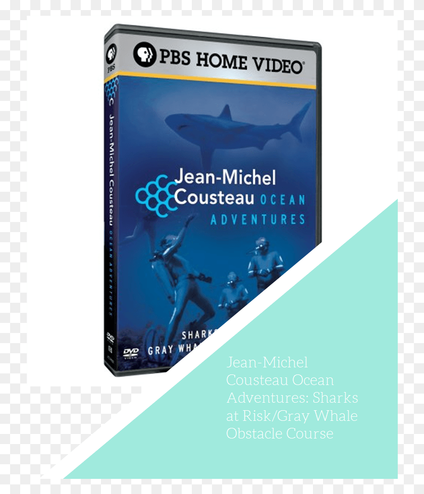 736x919 Jean Michel Cousteau Ocean Adventures Great White Shark, Person, Human, Advertisement HD PNG Download