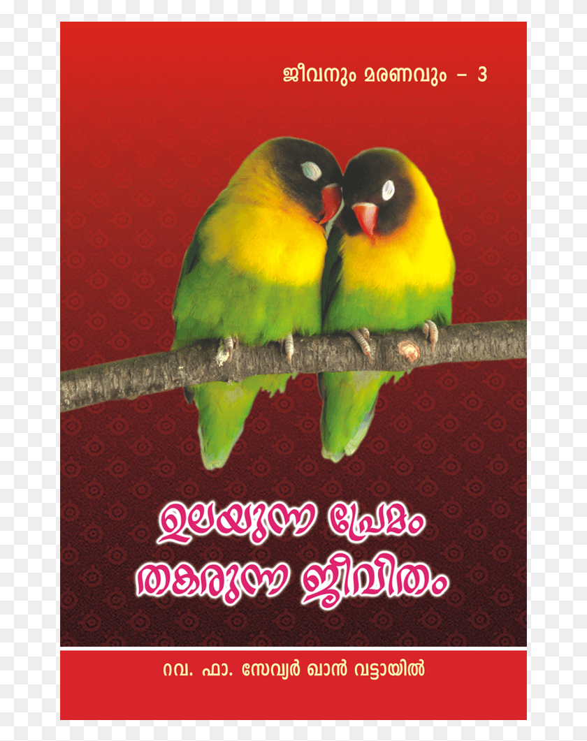 669x1001 Jeevanum Maranavum 3 Ulayunna Premam Thakarunna Jeevitham Hermosas Aves, Pájaro, Animal, Periquito Hd Png Descargar