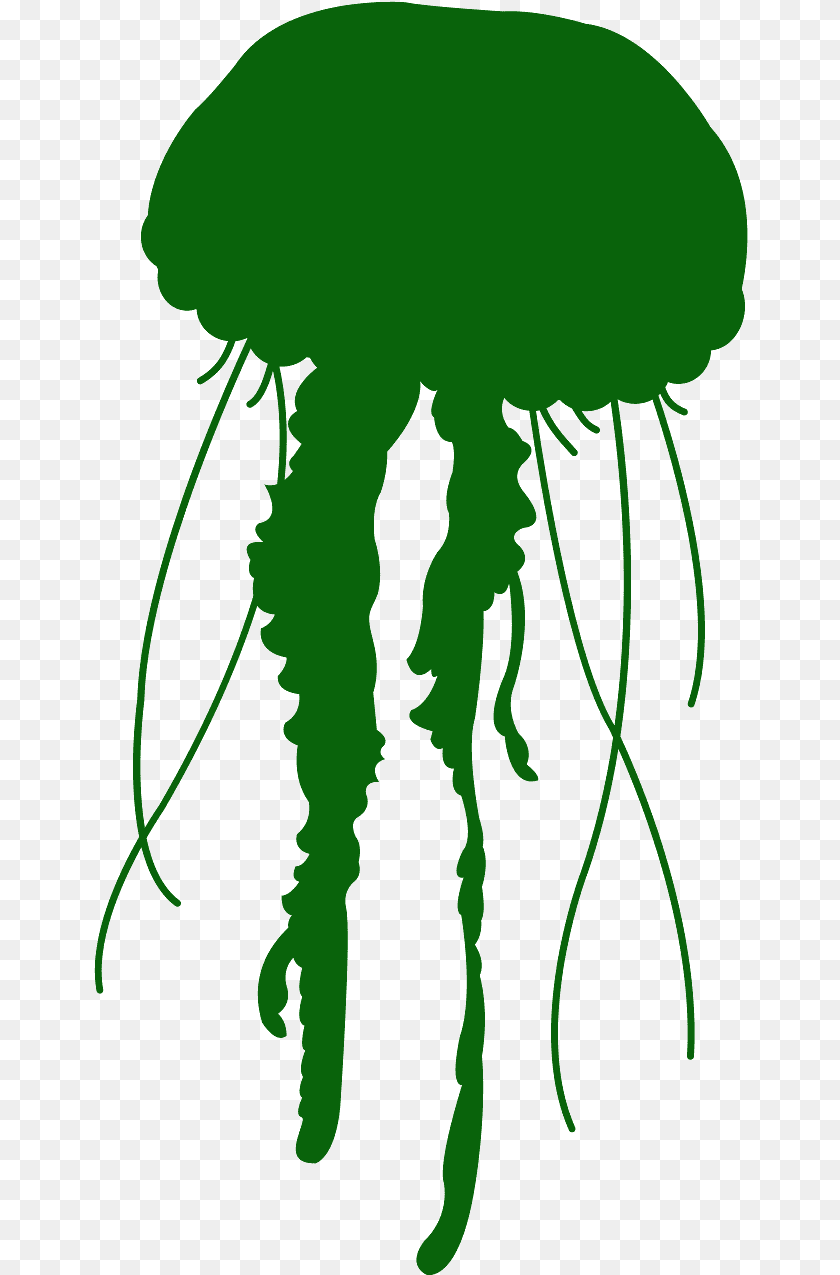 Jelly Fish, Animal, Invertebrate, Jellyfish, Person Clipart PNG
