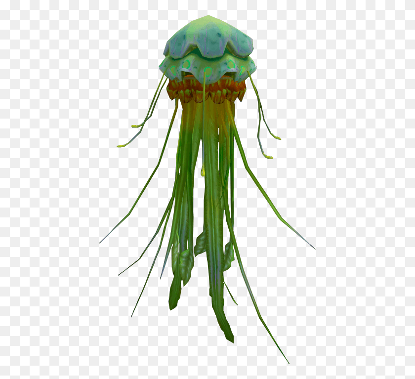 438x707 Medusas, Invertebrados, Vida Marina, Animal Hd Png