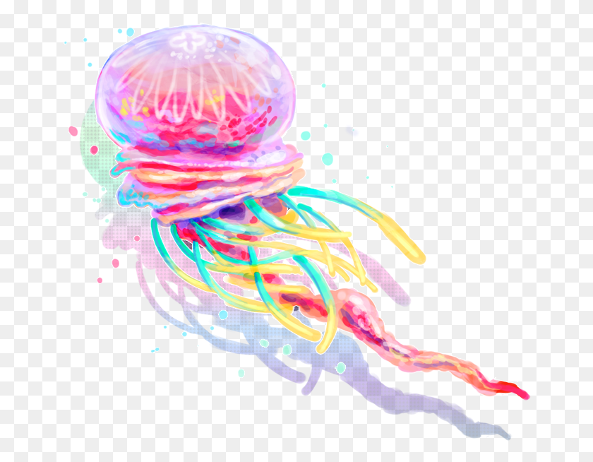 664x594 Jellyfish Clipart Transparent Jellyfish, Invertebrate, Sea Life, Animal HD PNG Download