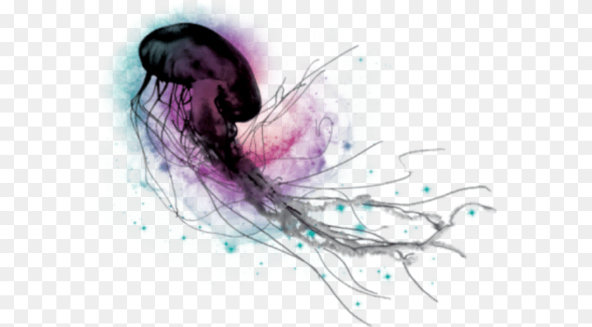 Jellyfish Psd, Invertebrate, Animal, Sea Life, Person Transparent PNG
