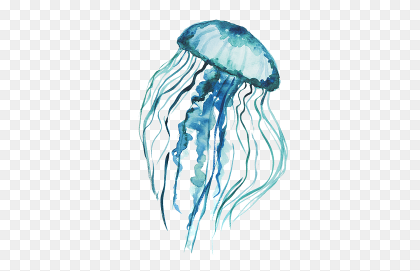315x482 Jellyfish Stickers, Invertebrate, Sea Life, Animal HD PNG Download