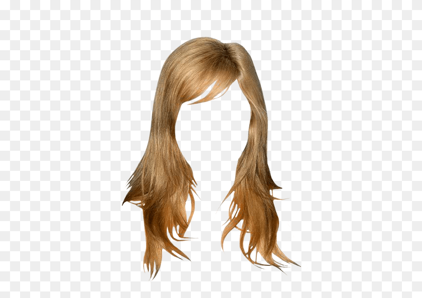 385x533 Jennette Mccurdy Casual Long Straight Hairstyle With Lace Wig, Hair, Bird, Animal HD PNG Download
