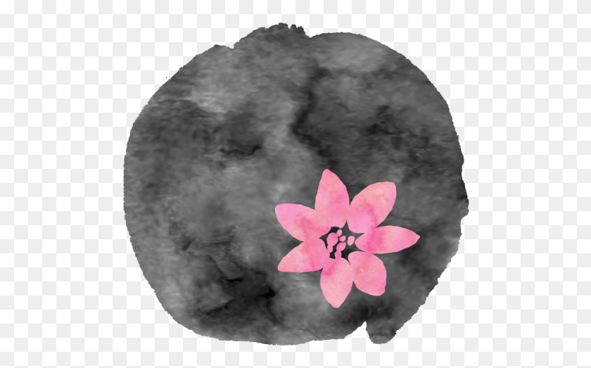 494x463 Jennifer Stucki Oboist Cherry Blossom, Plant, Flower, Blossom HD PNG Download