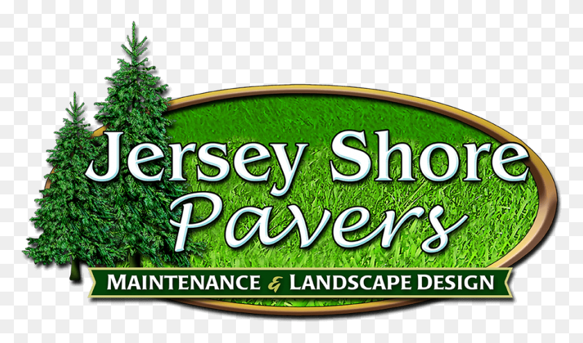 900x501 Jersey Shore Pavers Christmas Tree, Vegetation, Plant, Outdoors HD PNG Download