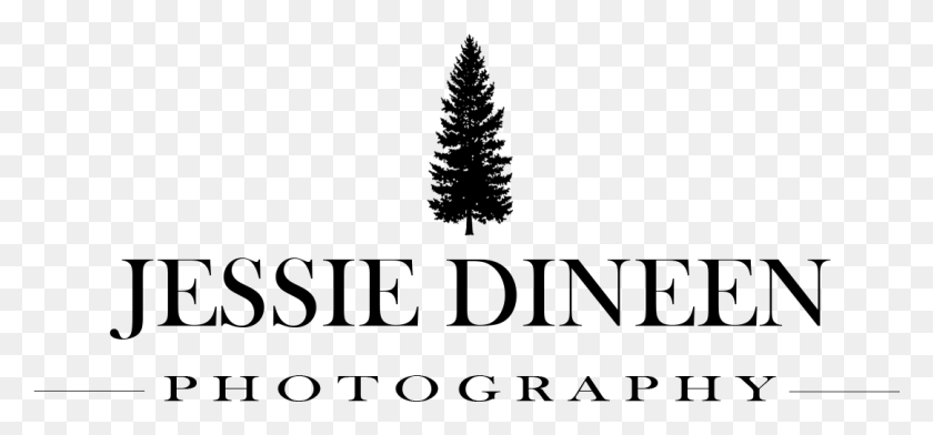 1082x461 Jessie Dineen Photography Meissen Porcelain, Nature, Outdoors, Outer Space HD PNG Download
