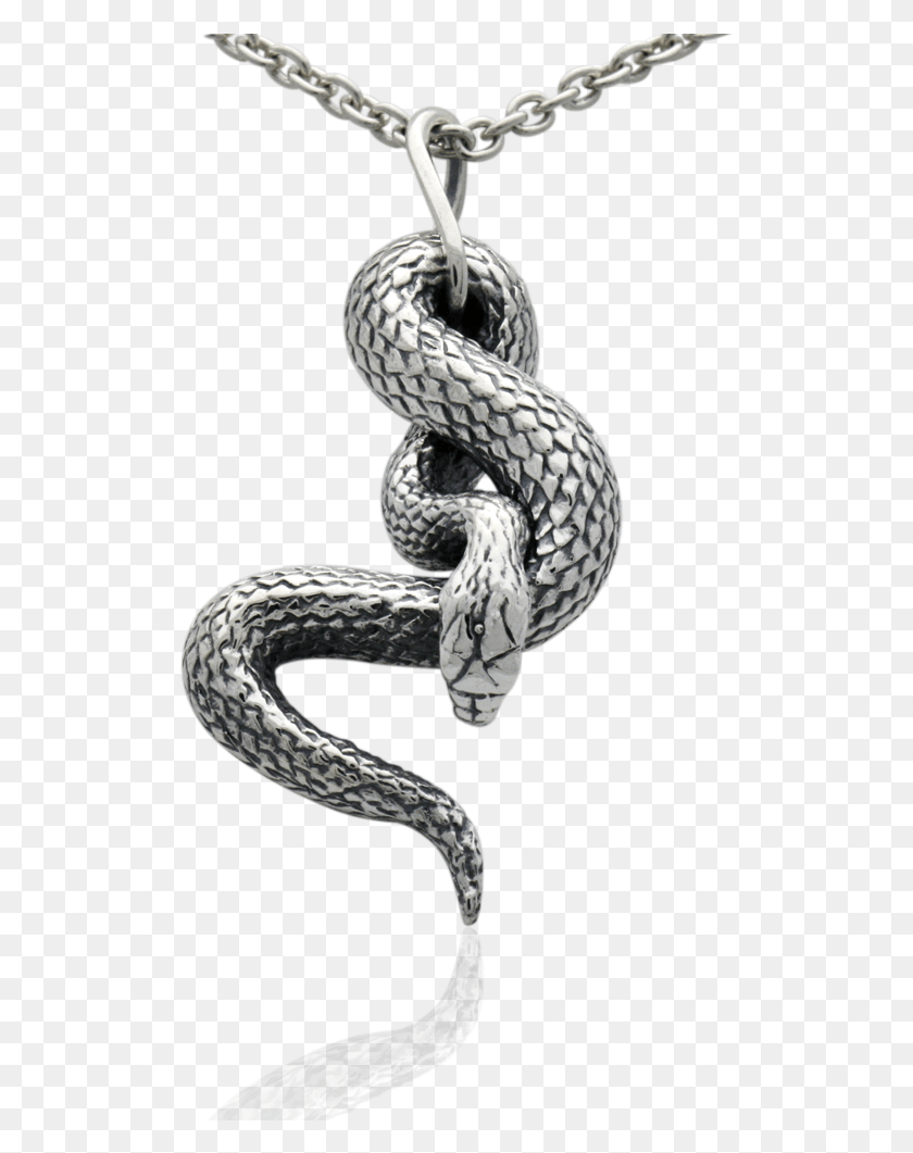 512x1001 Jewellery Snake, Reptile, Animal, Knot HD PNG Download