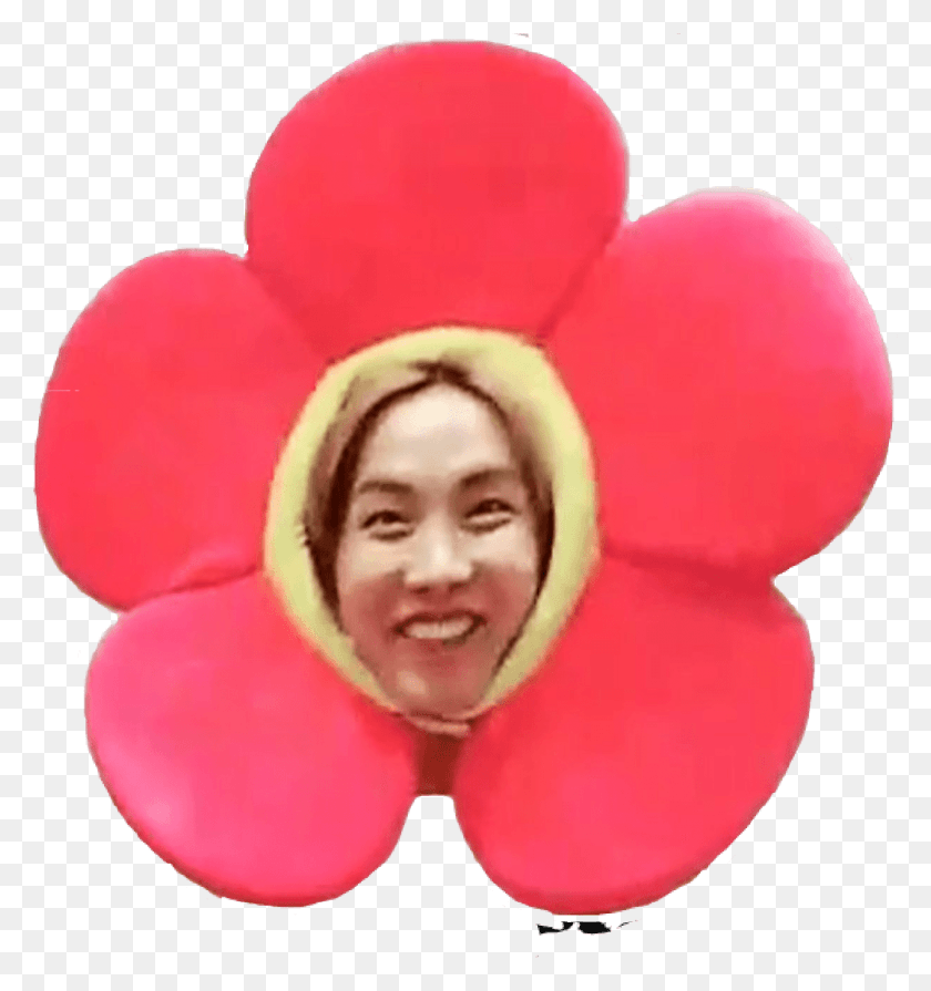 Jhope Flower Bts Jhopebts Jflowers Edit Funny Bts Jhope Flower, лицо, лицо, подушка HD PNG скачать