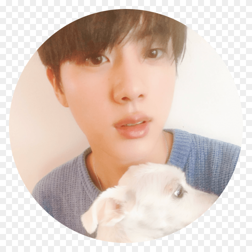 1280x1280 Jin Bts Tumblr Kim Seokjin Dog, Face, Person, Human HD PNG Download