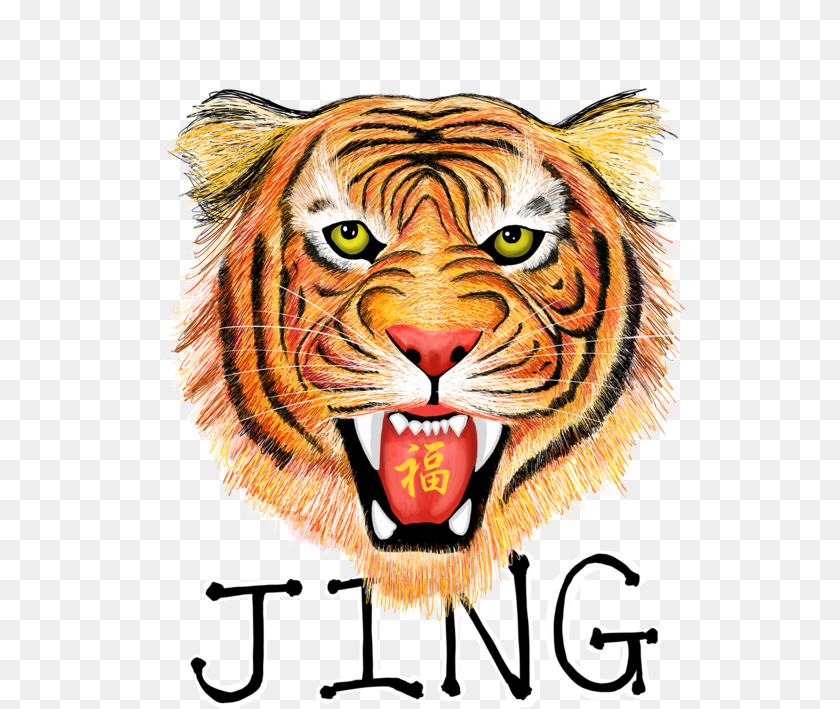 586x709 Jingtiger Portable Network Graphics, Animal, Mammal, Tiger, Wildlife Clipart PNG