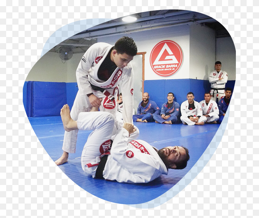 691x647 Jiu Jitsu For Everyone Brazilian Jiu Jitsu, Judo, Martial Arts, Sport HD PNG Download