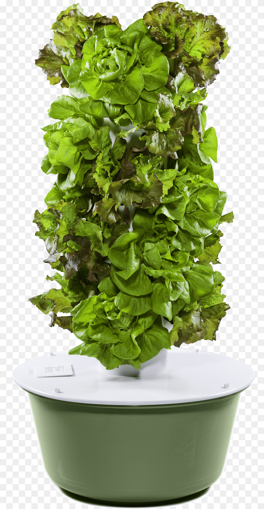 Jliba Towergarden Com Tower Garden, Food, Lettuce, Plant, Produce Transparent PNG