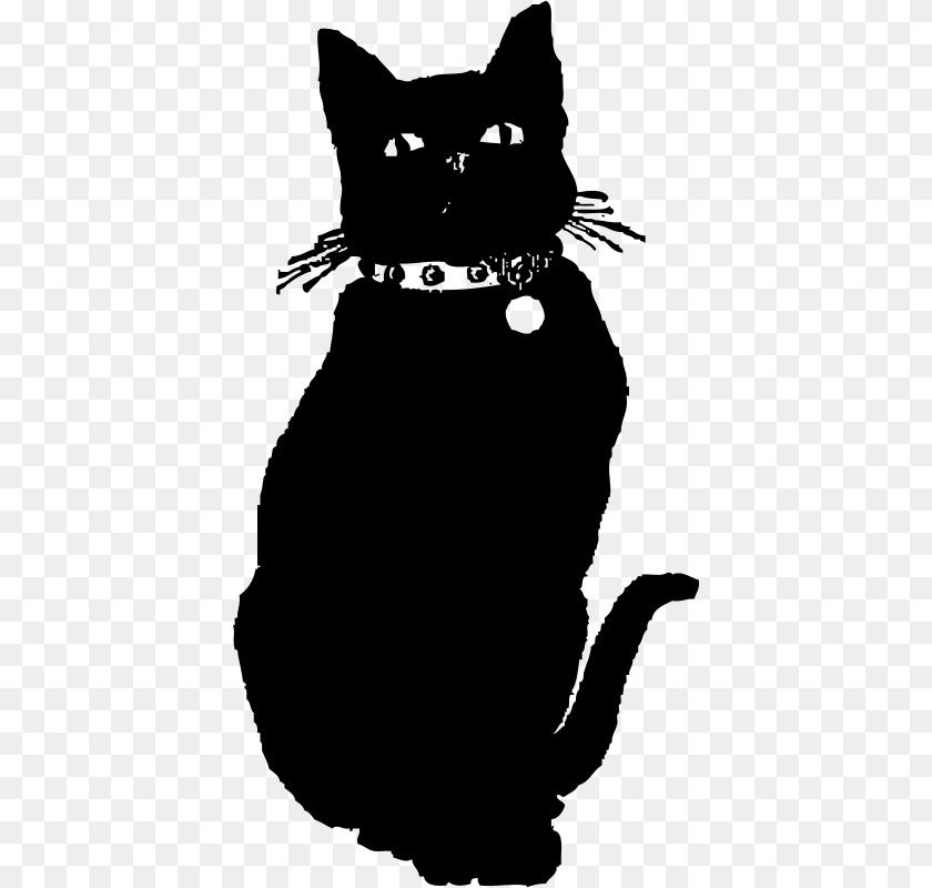 420x800 Johnny Automatic Black Cat, Gray Transparent PNG