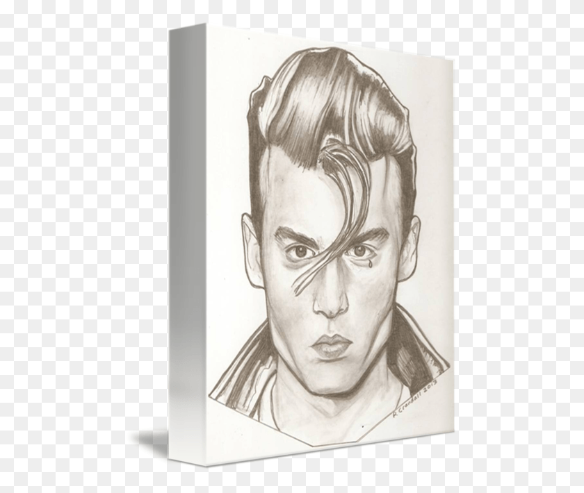 478x650 Johnny Depp By Rob Black And White Stock Pencil Johnny Depp Portrait Drawing, Person, Human, Head HD PNG Download