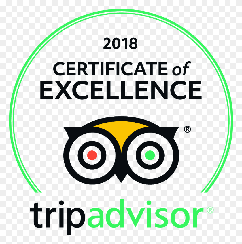 962x973 Join Our Mailing List Tripadvisor Certificate Of Excellence, Flyer, Poster, Paper HD PNG Download