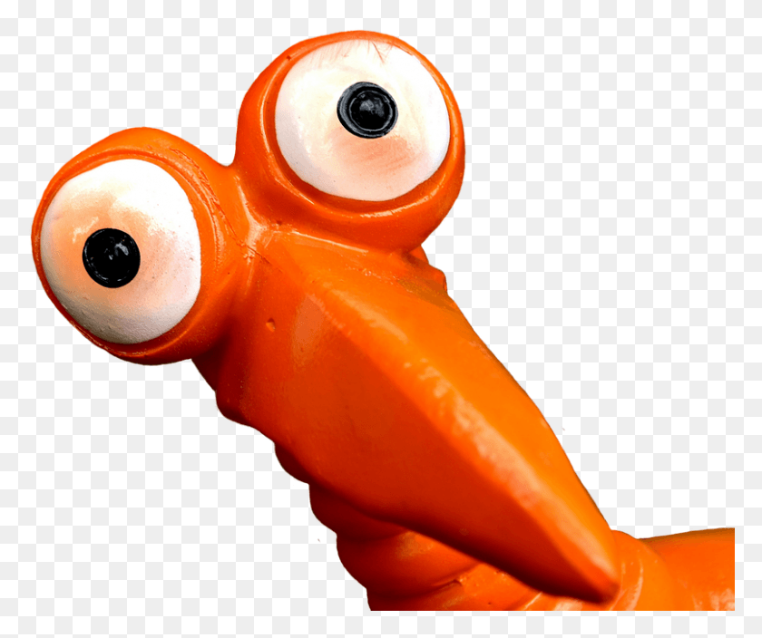 807x667 Joker Orange Funny Weird Bird Cute Feather Funny Orange Bird, Toy, Animal, Alien Descargar Hd Png