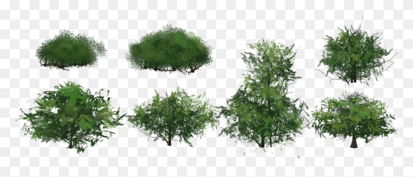1466x567 Jon Oldblood Bushes 2d, Land, Outdoors, Nature HD PNG Download