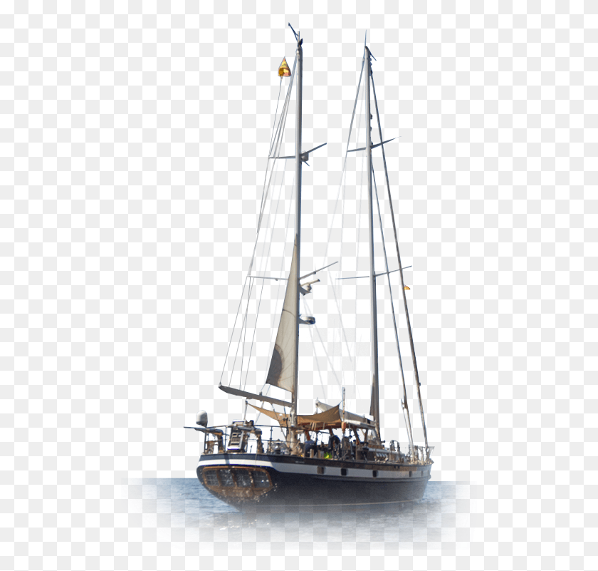 501x741 Jongert Yacht Charter Sail, Boat, Vehicle, Transportation HD PNG Download