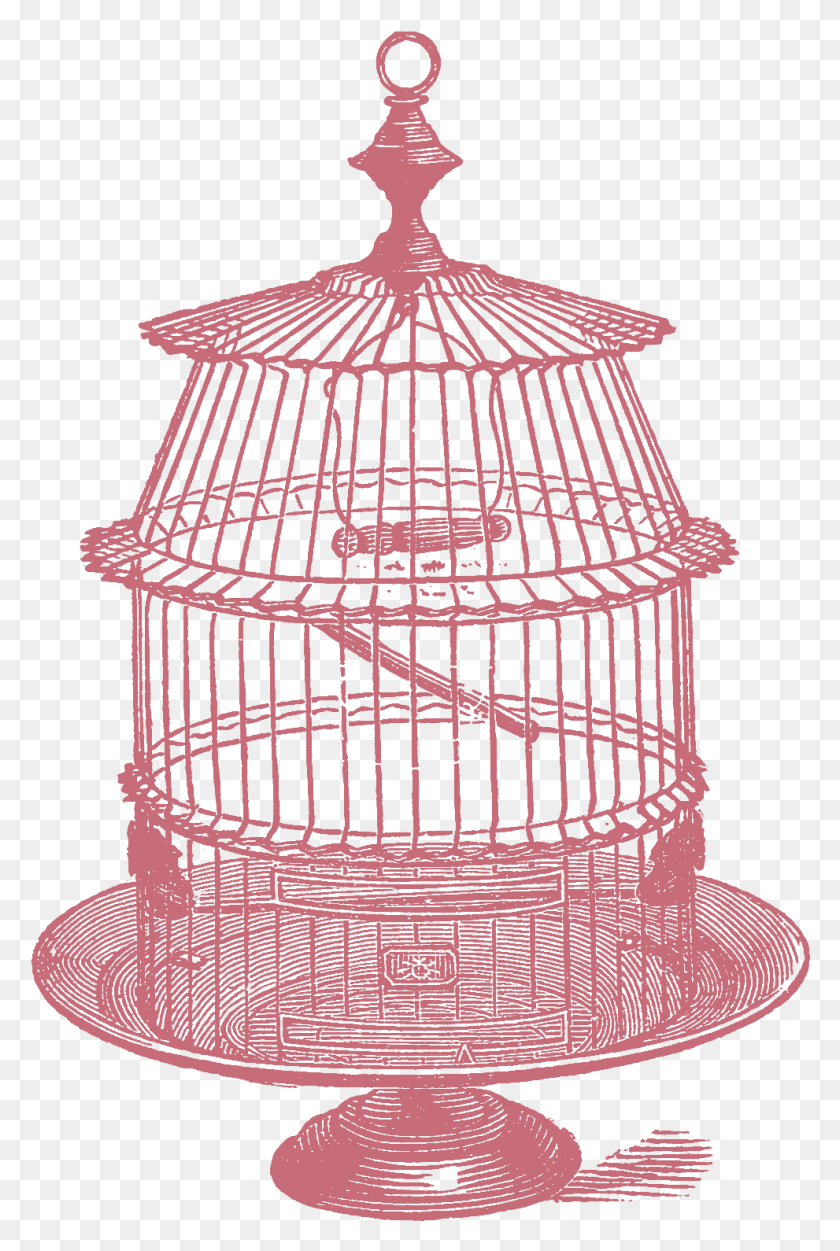 991x1514 Jpeg The Birdcage, Spiral, Coil HD PNG Download