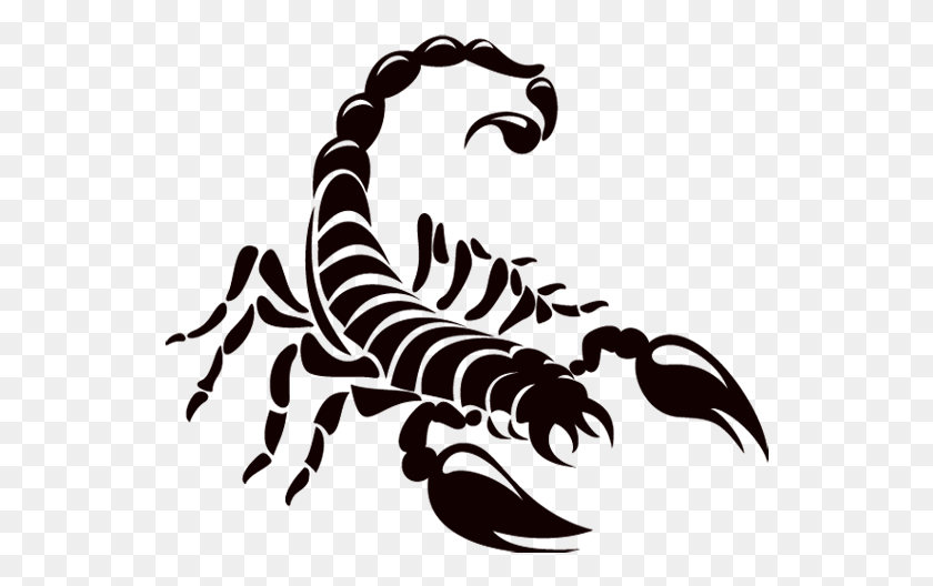 544x468 Jpg Black And White Pin By Ddejvis On Obr Scorpion Decal, Hook, Claw, Dragon HD PNG Download