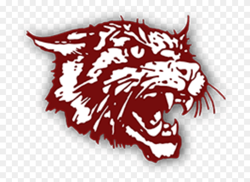 720x553 Jpg Black And White Stock The Littlefield Wildcats Bethune Cookman Wildcats Logo, Wildlife, Animal, Mammal HD PNG Download