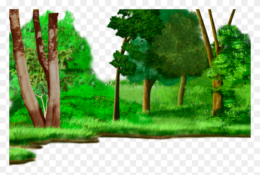 1242x810 Jpg Free Cartoon Animation Painting Painted Grassland Forest Drawing, Plant, Tree HD PNG Download