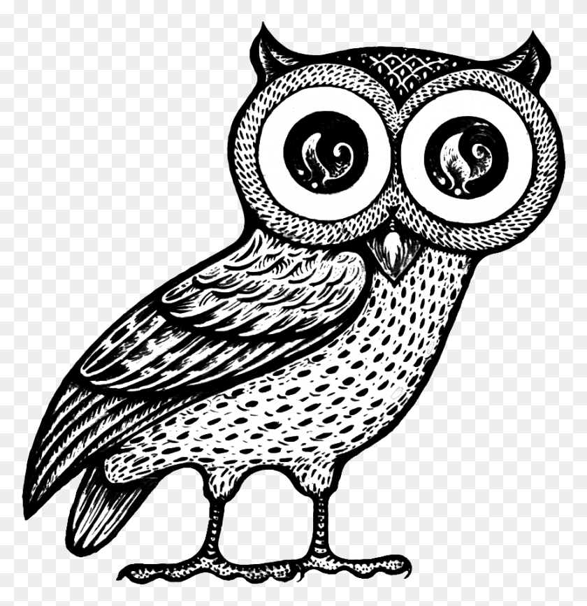 860x890 Jpg Free Library Conventional Wisdom Enlightened Interaction Owl Of Athena, Bird, Animal, Snake HD PNG Download