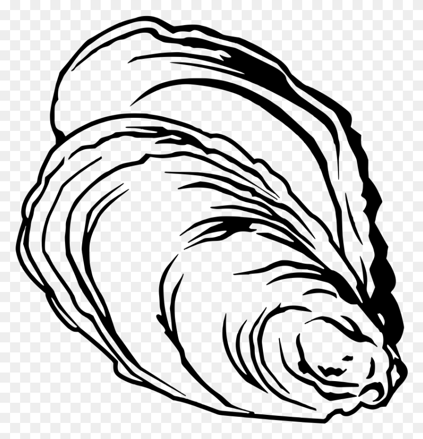 826x860 Jpg Freeuse Clam Clipart Pearl Drawing, Gray, World Of Warcraft HD PNG Download