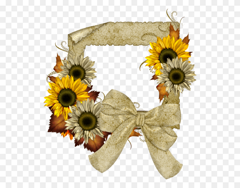 536x600 Jpg Freeuse Fall Transparent Frame With Sunflowers Sunflower Photo Frame, Plant, Flower, Blossom HD PNG Download