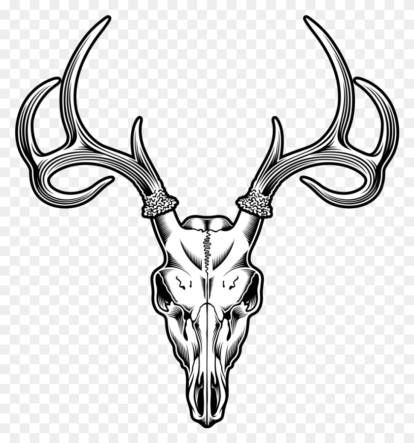 912x983 Jpg Freeuse Stock Deer Drawing Illustration Sheep Tattoo Drawing Of Deer Antlers, Antler, Bow, X-ray HD PNG Download