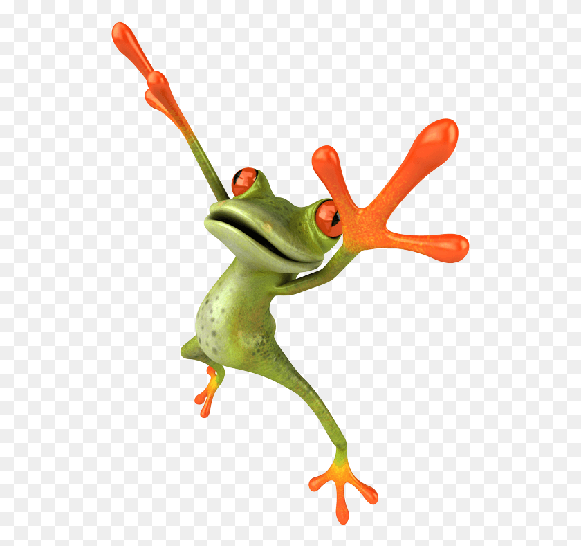 519x729 Jpg Large Frog Jumping At You, Animal, Plant, Amphibian HD PNG Download