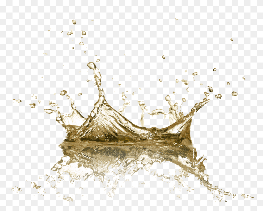 1307x1032 Jpg Library Single Marula Organix About Transparent Water Splash, Plant, Droplet, Beverage HD PNG Download