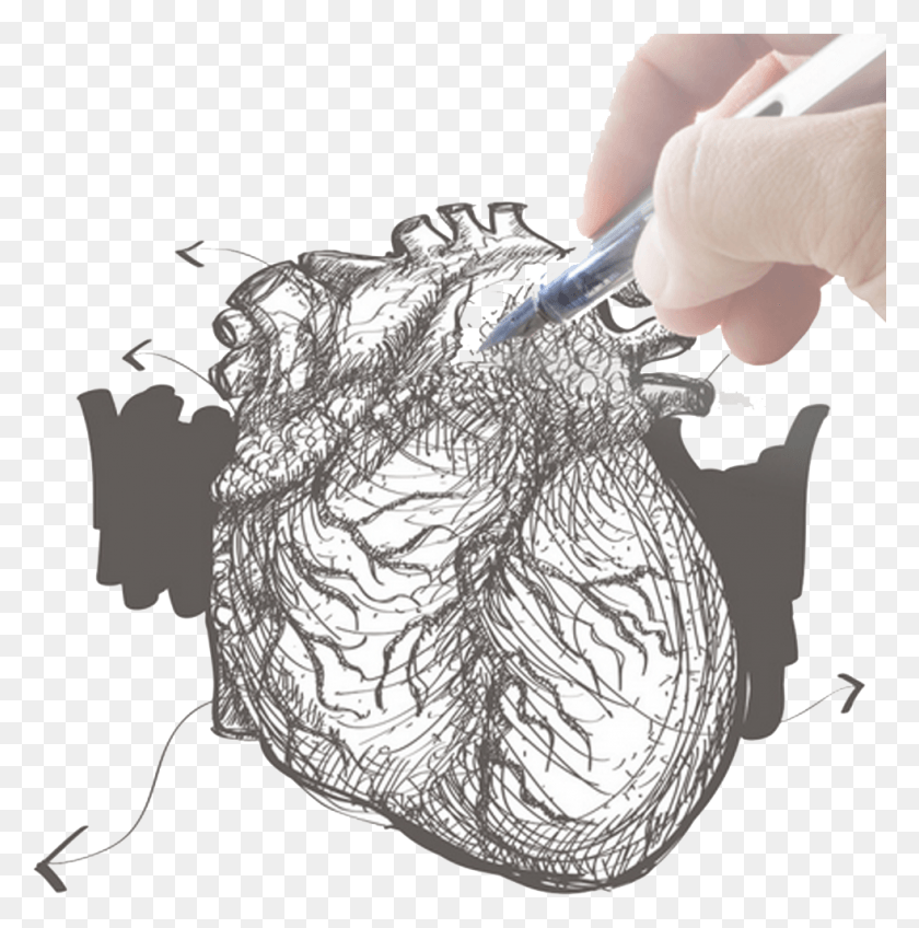 982x993 Jpg Royalty Free Stock Drawing Wrinkles Pen Mzg Z Chorob Sieroc, Person, Human HD PNG Download