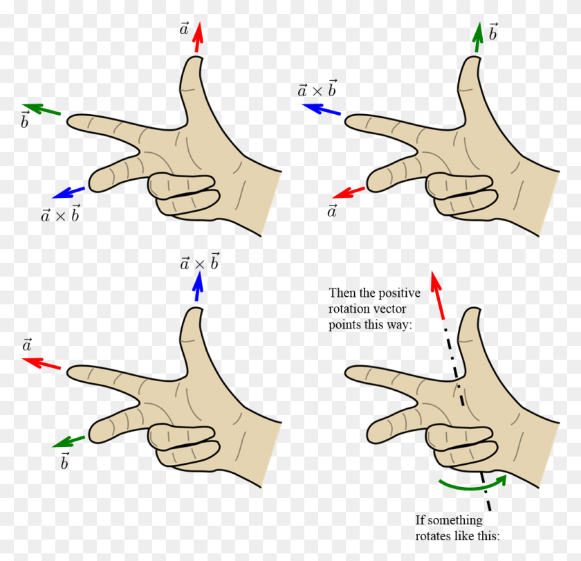 1023x985 Jpg Transparent Angular Momentum Force At Axis Of Spinning Right Hand Rule Gyroscopic Precession, Face, Person, Human HD PNG Download