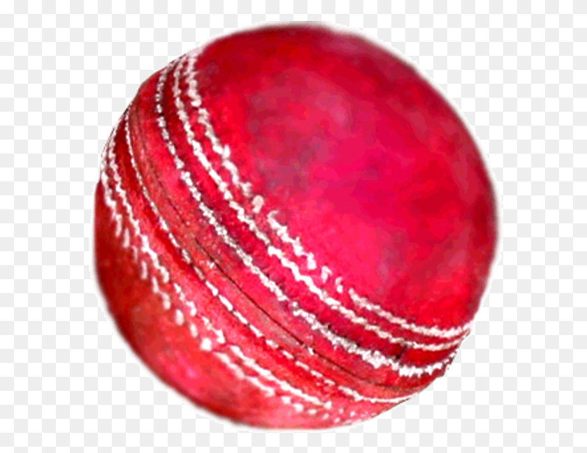 600x589 Jpg Transparent Cricket Ball Clipart Cricket Ball, Sphere HD PNG Download