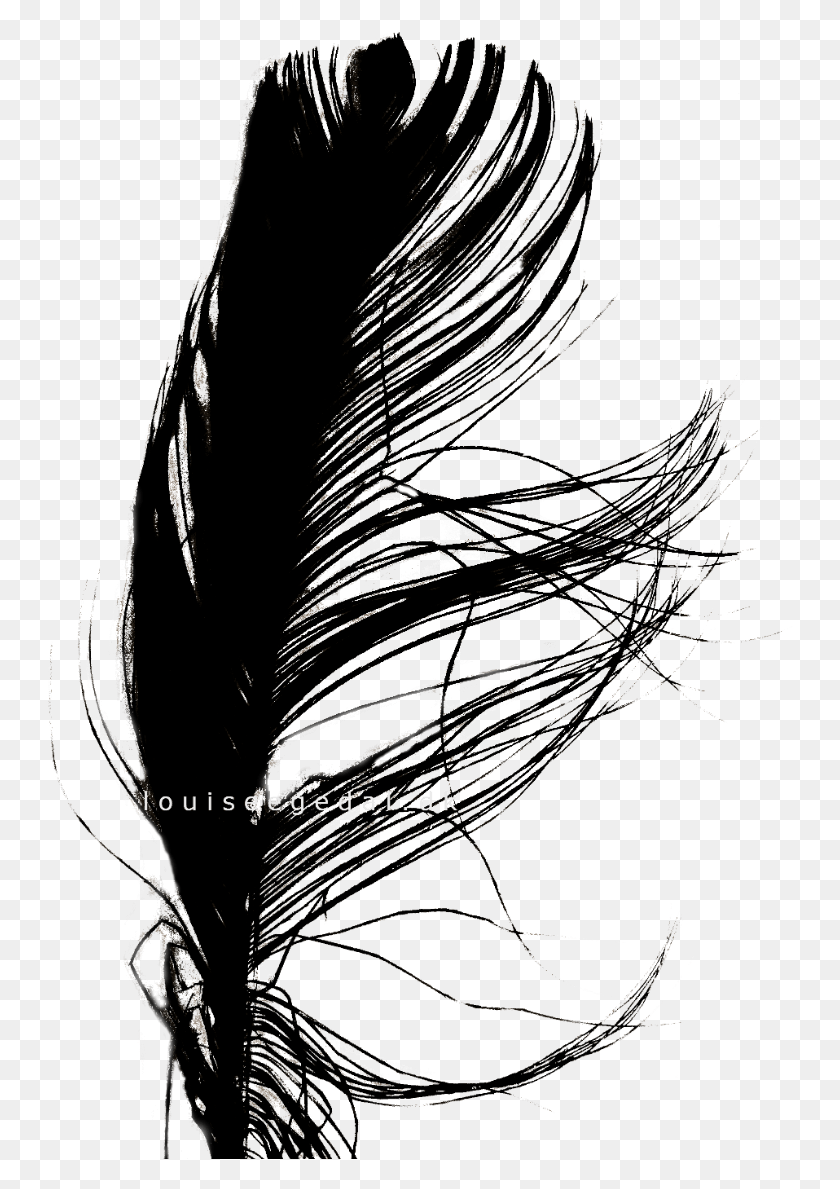 Jpg Transparent Stock Interesting Drawing Feather Sketch, Plant, Flare, Light HD PNG Download