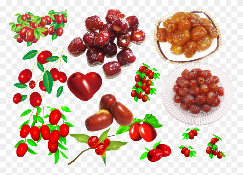 3322x2327 Jujube Food Dates Layered Graph Transprent Jujube Vector Free HD PNG Download
