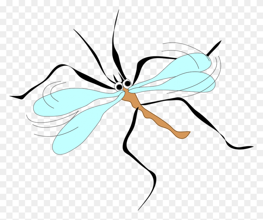 872x720 July 4th Weekend Weather Brings Sun Mosquitoes Mosquito Clip Art, Dragonfly, Insect, Invertebrate HD PNG Download
